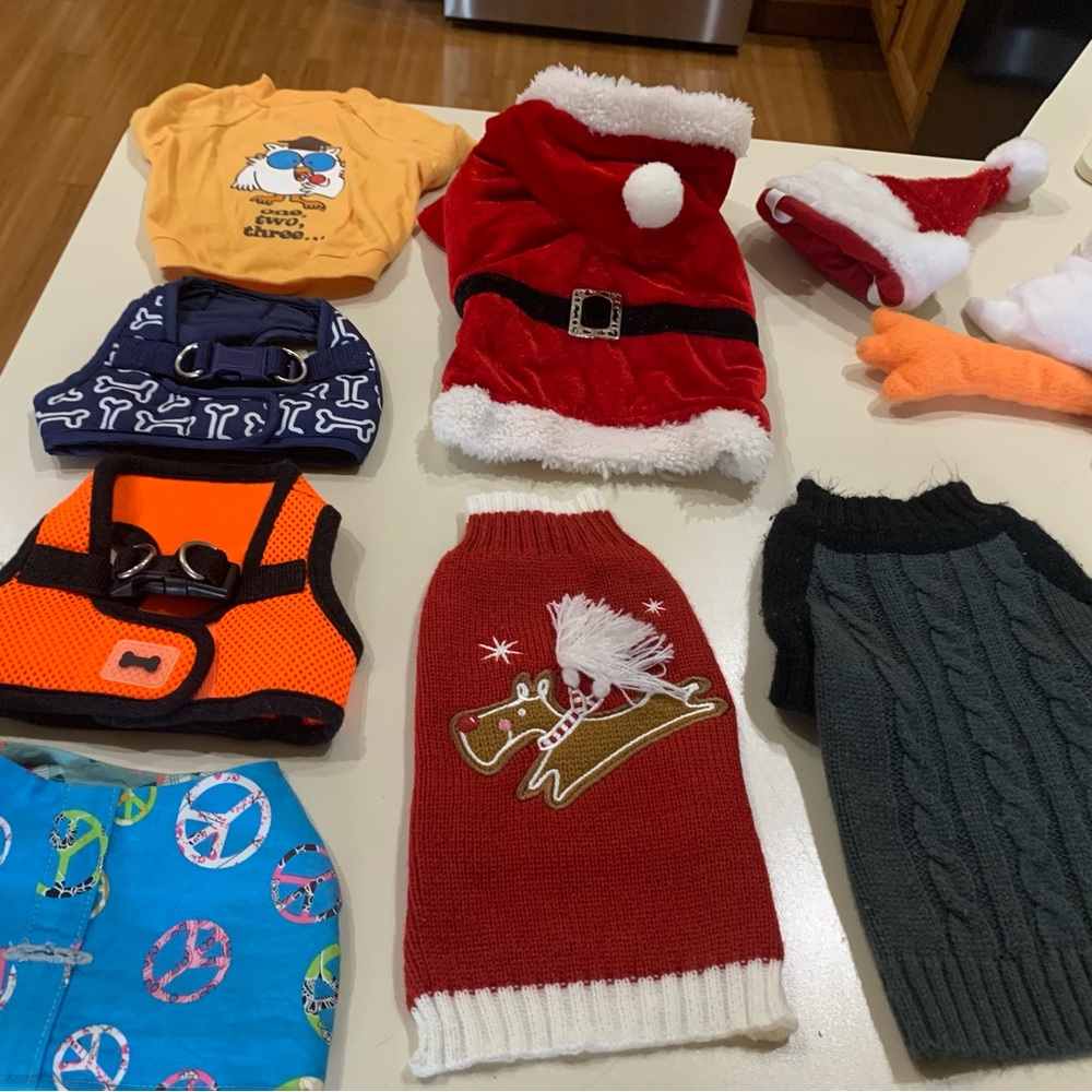 Lot of X Small pup wardrobe.